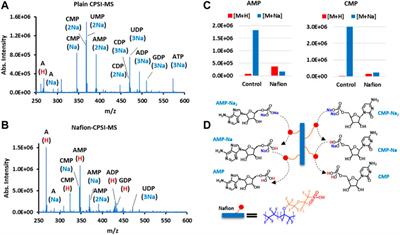 Introducing Nafion for In Situ Desalting and Biofluid Profiling in Spray Mass Spectrometry